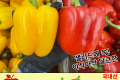 파프리카(특대)/국내산 1봉 2개