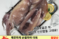 손질어오징어(대)