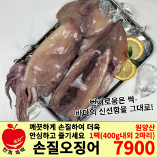 손질어오징어(대)