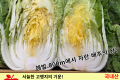 강원도 고랭지 배추/국내산 1포기