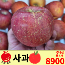 사과 특/국내산 5개