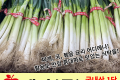 대파 특/국내산 1단