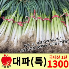 대파 특/국내산 1단