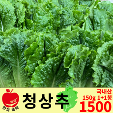 청상추/국내산 1+1봉 150g x2