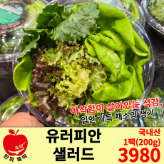 유러피안 샐러드