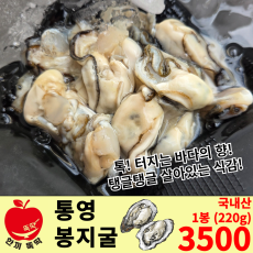 통영 봉지굴