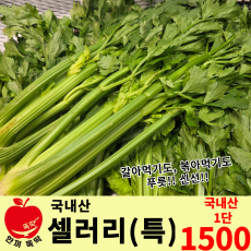 셀러리(특) 1단 / 국내산