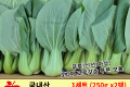 청경채 1세트(250g x2봉)
