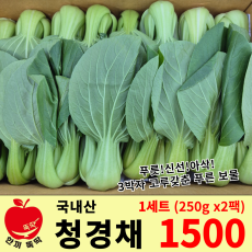 청경채 1세트(250g x2봉)