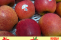 엔비 사과/국내산 5개