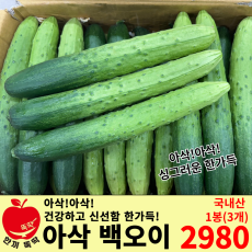 백오이(특)/국내산 5개