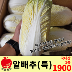 알배추 / 국내산 특 1통