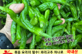 꽈리고추/국내산