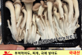 팩느타리 버섯 1팩/국내산