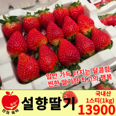 설향 딸기/국내산 1스티 (1kg)