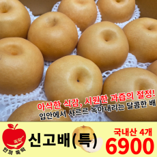 신고배 특/국내산 1봉 4개