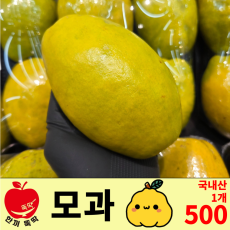 모과/국내산 1개