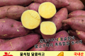 호박 고구마/국내산 1봉(1kg 내외)
