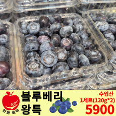 세트상품) 블루베리 특대/수입산 (1개주문 시 2팩)