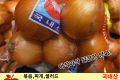 양파중망 / 국내산 1망