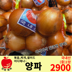양파중망 / 국내산 1망