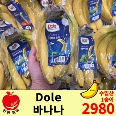 고산지 바나나/수입산 1송이