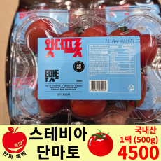스테비아 단마토/국내산 1팩 (500g)