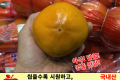 단감(특대)/국내산 1줄 5개입