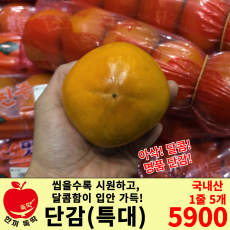 단감(특대)/국내산 1줄 5개입