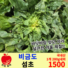 비금도 섬초 /국내산 1봉(280g내외)