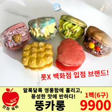 롯데백화점 입점 상품 소년의행성 뚱카롱 1개(6구)