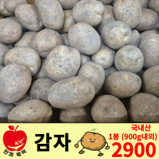 감자 국내산 1봉 900g