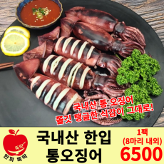국내산 한입 통오징어 1팩(5~8마리 내외)