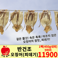 반건조 오징어 (피데기)