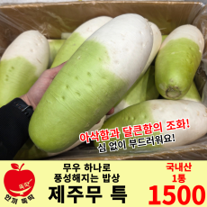 제주 무우 / 국내산 1개