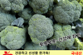 브로콜리 / 국내산 특대 1통