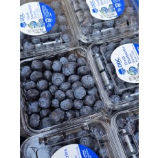 블루베리 2팩