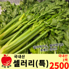 셀러리(특) 국내산 1단