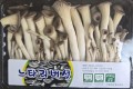 🍄팩느타리버섯2팩