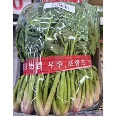 🥬포항초1단🥬