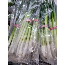 🥬대파1단(즉시수령)