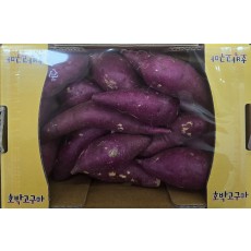 호박고구마1.6kg(즉시수령)