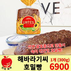 해바라기씨 호밀빵