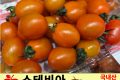 스테비아 방울토마토 (샤인피치맛) / 국내산