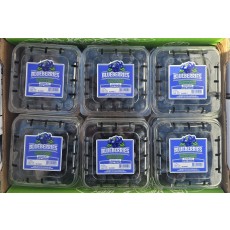 🫐[수입]블루베리⚡3팩⚡