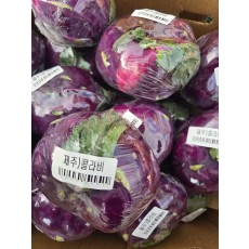 🥬제주콜라비1통(즉시수령)