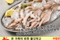손질 통낙지