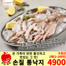 손질 통낙지