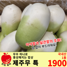 제주 월동무우 특 /국내산 1통