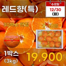 레드향(특) 3kg